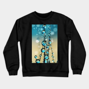 Grass Seed in Blue Sparkle II Crewneck Sweatshirt